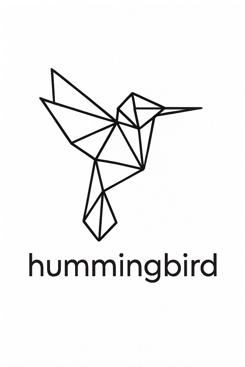 Geometric Hummingbird Art Print
