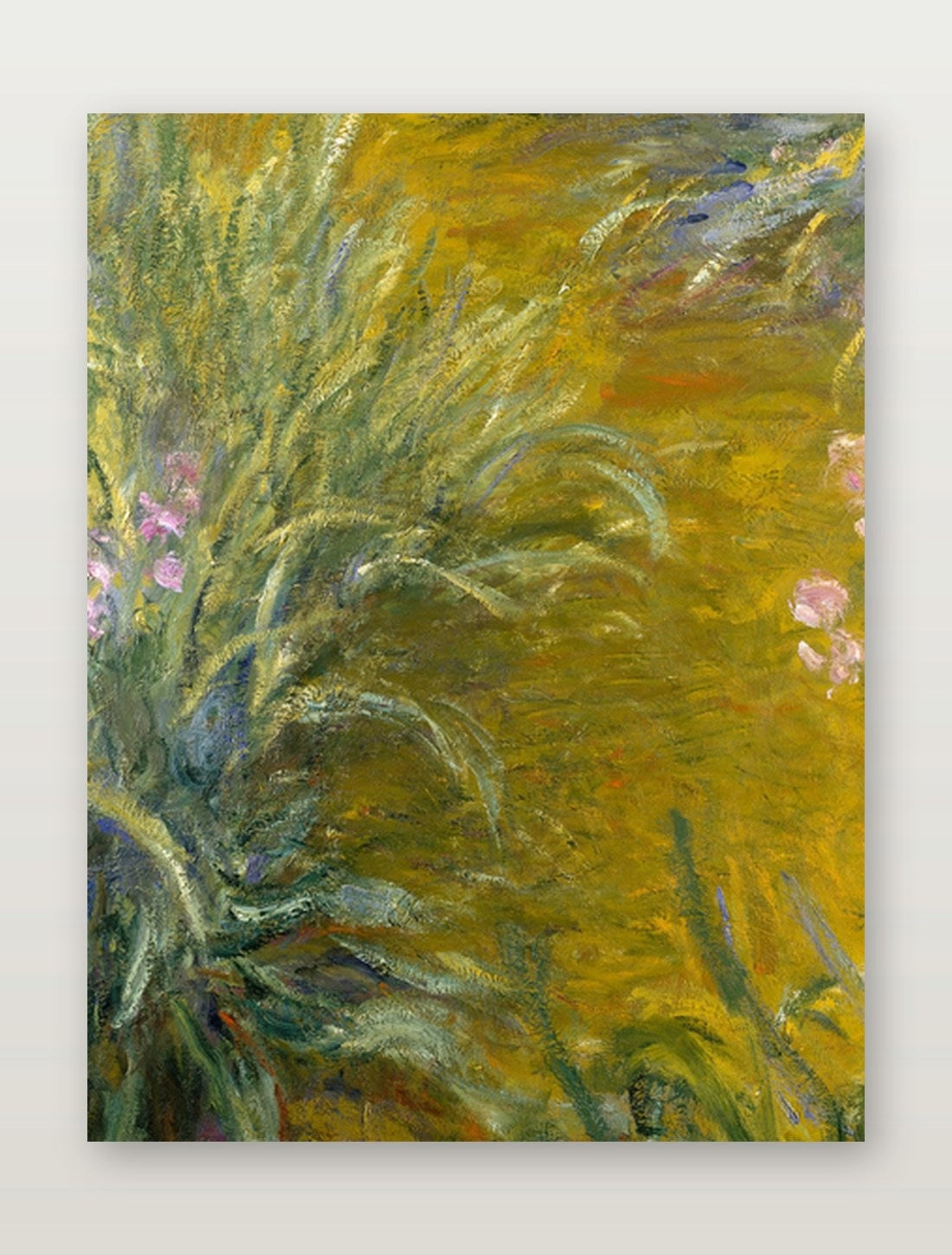 Irysy W Giverny Moneta — Plakat – plakat na ścianę