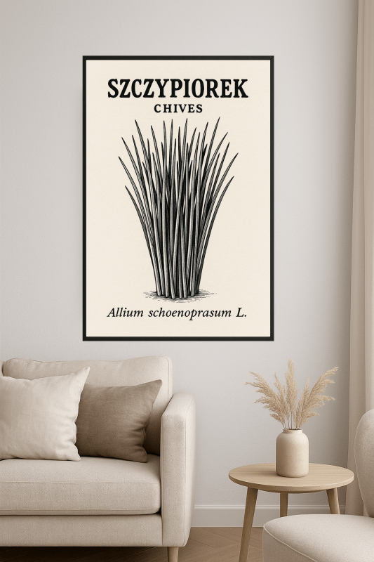 Ilustracja Botaniczna Szczypiorku - CasaNookDecor