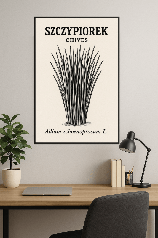 Ilustracja Botaniczna Szczypiorku - CasaNookDecor