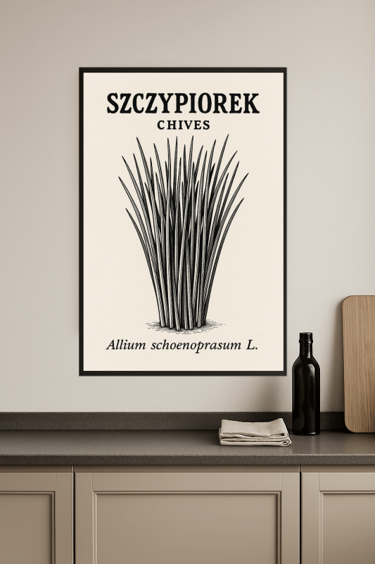 Ilustracja Botaniczna Szczypiorku - CasaNookDecor