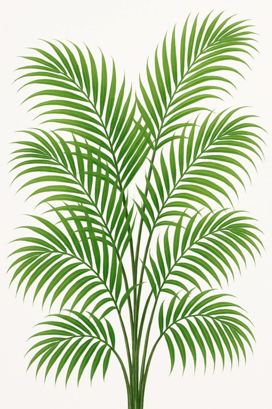 Liście Palmy Arekowej - CasaNookDecor
