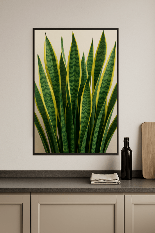Sansewieria Trifasciata - CasaNookDecor