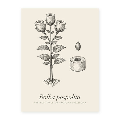 Plakat do łazienki Rolka pospolita, rycina z polskim podpisem