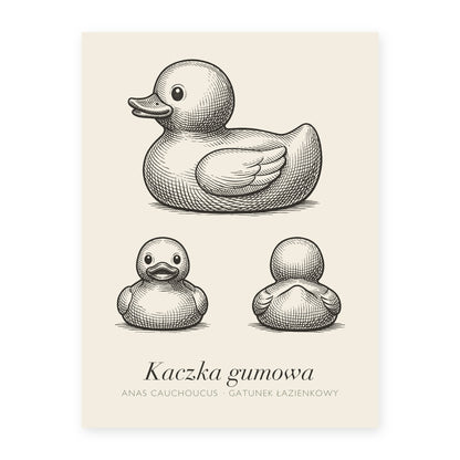 Plakat do łazienki Kaczka gumowa, rycina z polskim podpisem