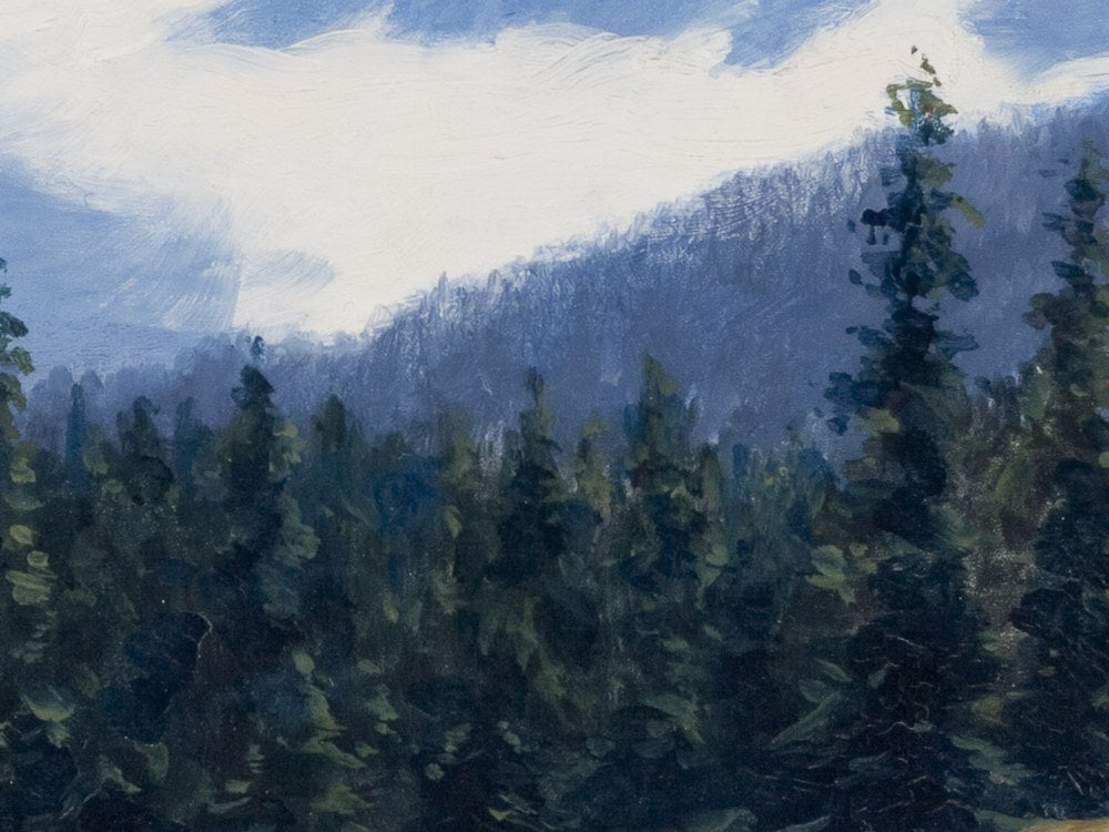 Obrazy góry: Wiosna w Tatrach: zbliżenie szczegółów – plakat na ścianę