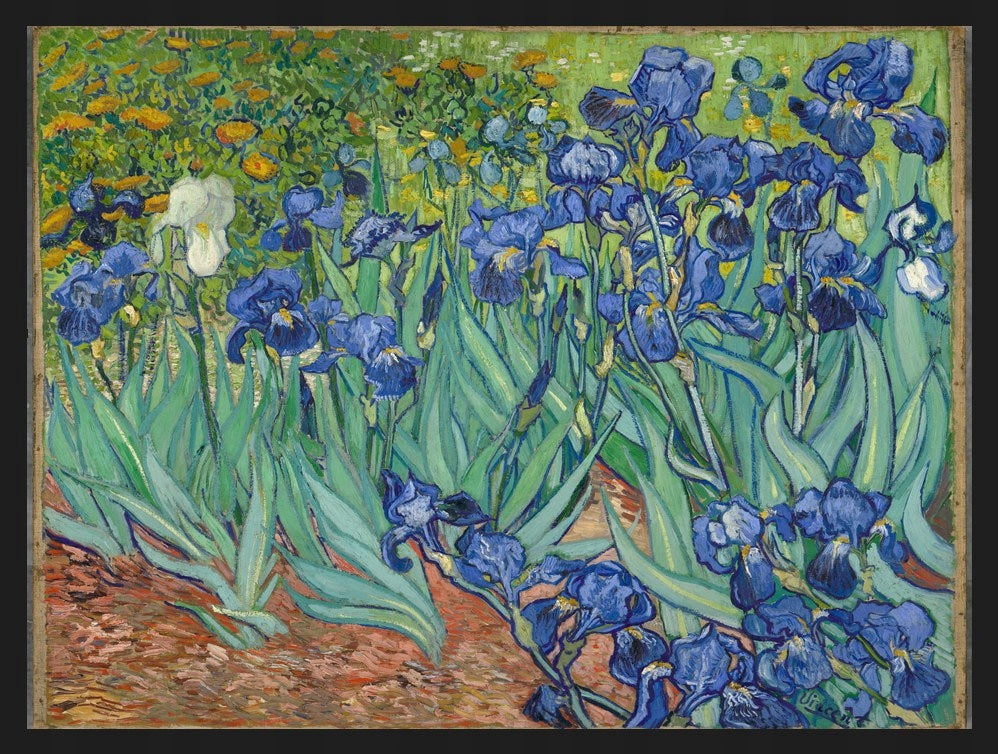 Irysy Vincent Van Gogh — Plakat – plakat do druku