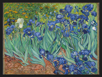Irysy Vincent Van Gogh — Plakat – plakat do druku