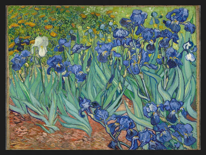 Irysy Vincent Van Gogh — Plakat