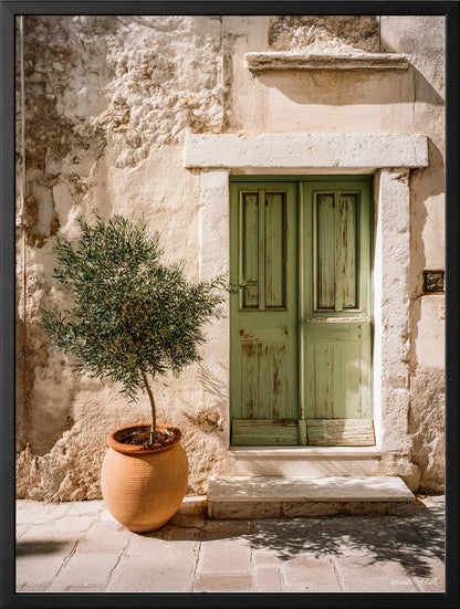 Oliwne Patio — Zestaw 3 Plakaty