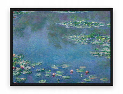 Nenufary Moneta — Plakat