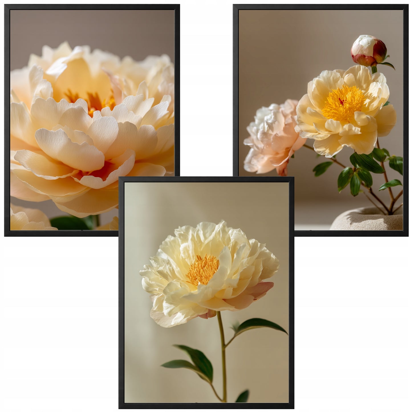 Peonie Wiosna — Zestaw 3 Plakaty – plakat na ścianę
