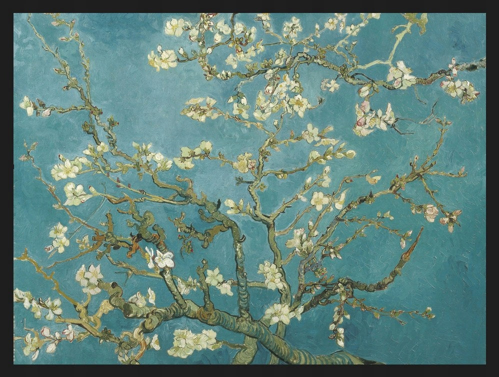 Kwitnący Migdałowiec Van Gogh — Plakat
