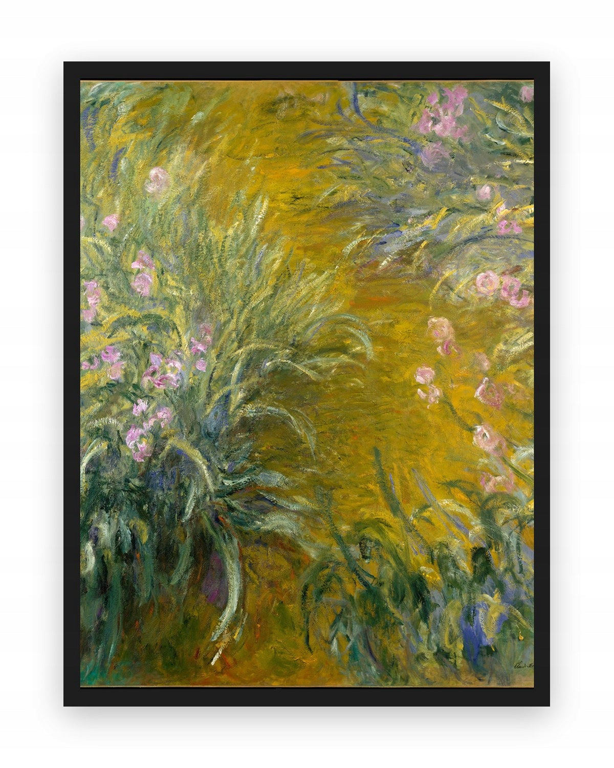 Irysy W Giverny Moneta — Plakat – plakat na ścianę