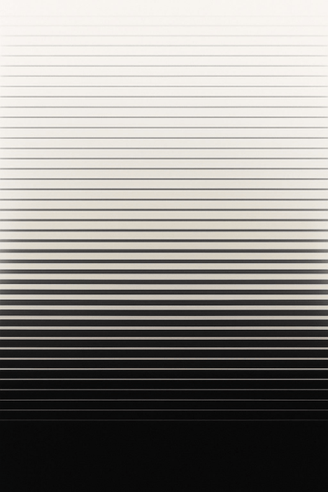 Czarno - Białe Gradientowe Linie - CasaNookDecor – plakat do druku