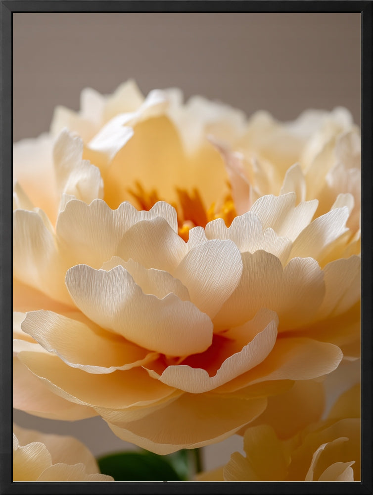 Peonie Wiosna — Zestaw 3 Plakaty – plakat na ścianę