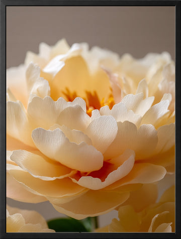 Peonie Wiosna — Zestaw 3 Plakaty – plakat na ścianę