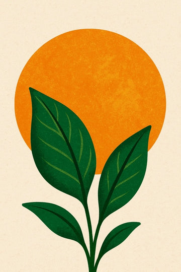 Druk Sztuki Słońca i Liści - CasaNookDecor – plakat do druku