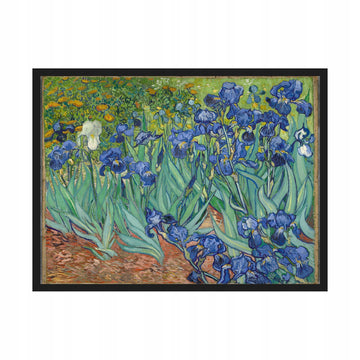 Irysy Vincent Van Gogh — Plakat – plakat do druku