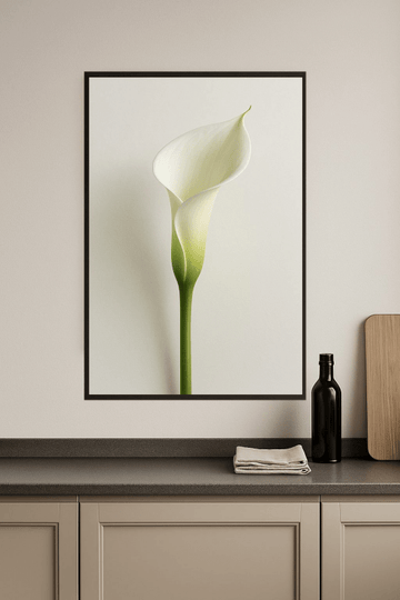 Elegancka Lilia Calla - CasaNookDecor – plakat do druku