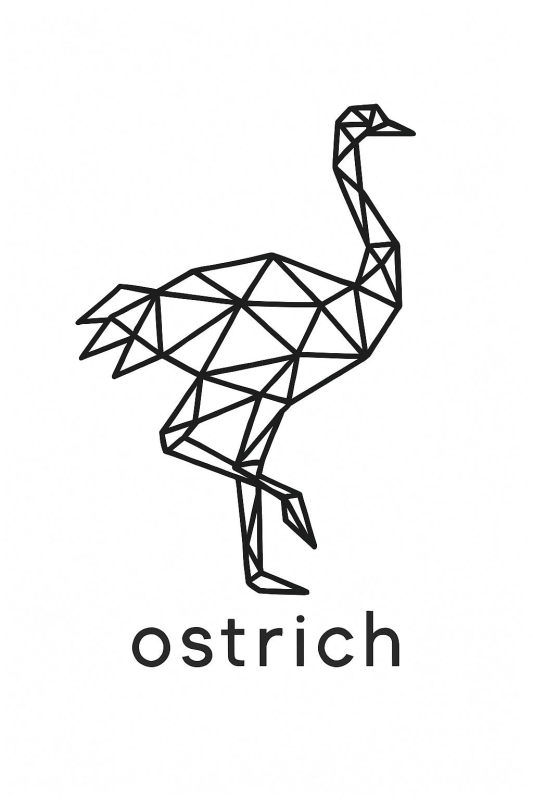 Geometriczny Druk Sztuki Strusia - CasaNookDecor