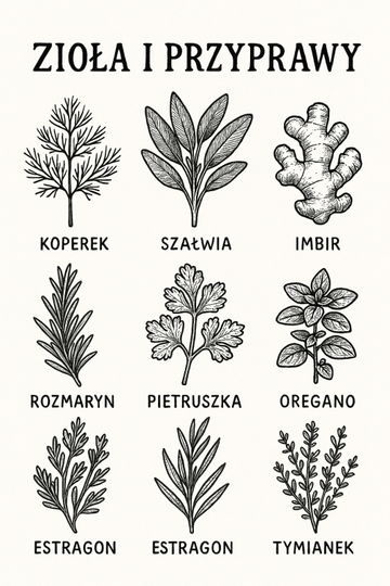 Ilustracja Ziół I Przypraw - CasaNookDecor