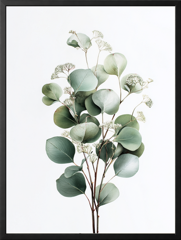 Zielony eukaliptus — zestaw 3 plakatów botanicznych – plakat na ścianę
