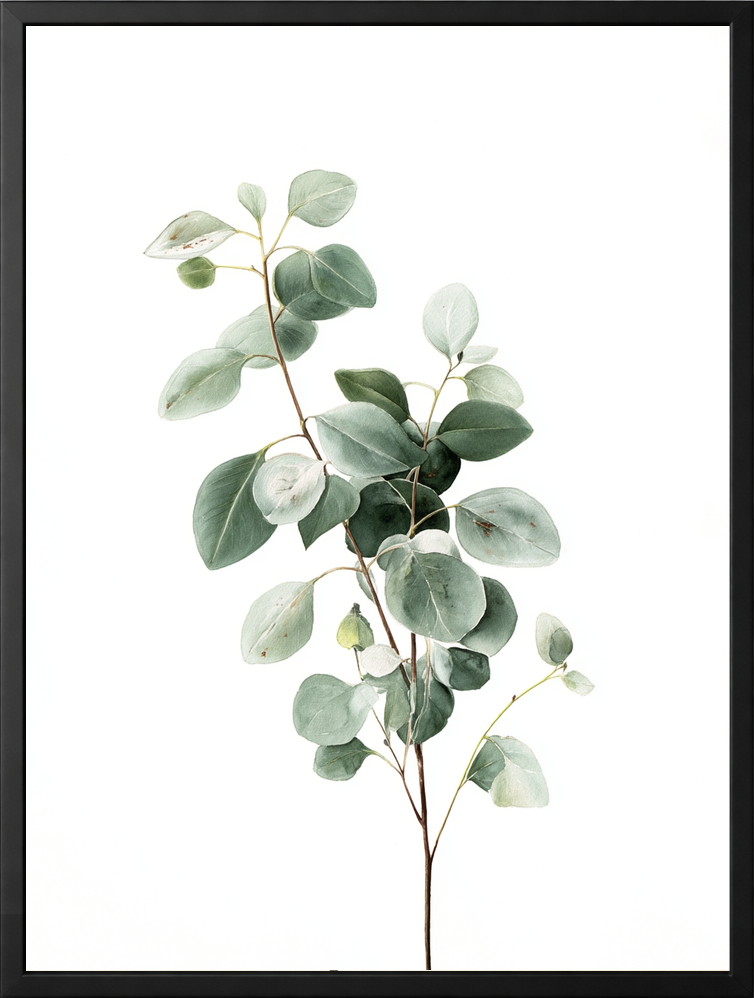 Zielony eukaliptus — zestaw 3 plakatów botanicznych – plakat na ścianę