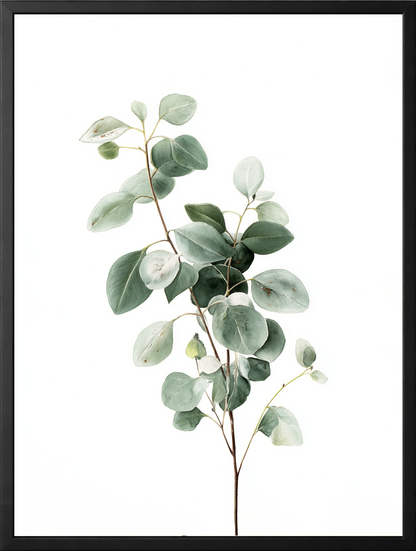 Zielony eukaliptus — zestaw 3 plakatów botanicznych