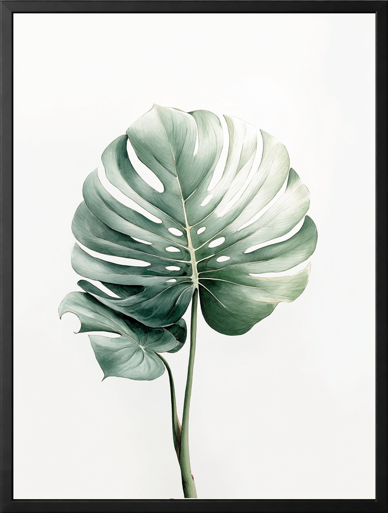 Zielony eukaliptus — zestaw 3 plakatów botanicznych – plakat na ścianę