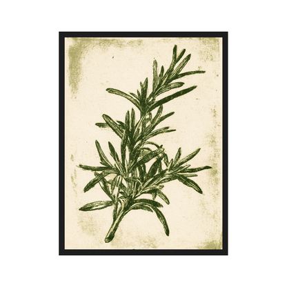 Herb Etchings I art print in a black frame