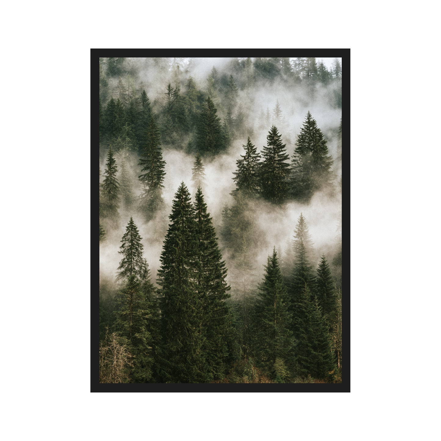 Nordic Forest I art print in a black frame – plakat na ścianę