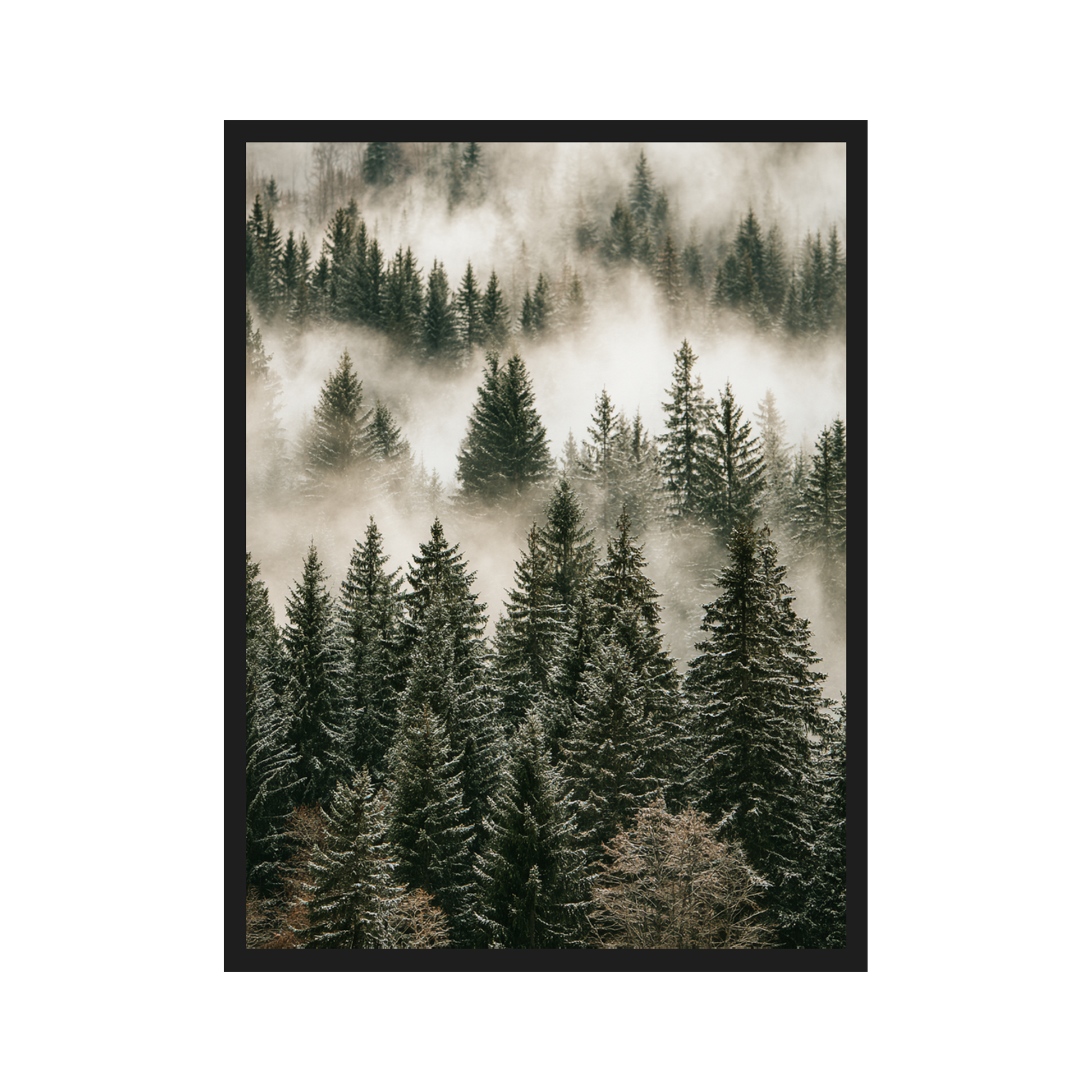 Nordic Forest II art print in a black frame