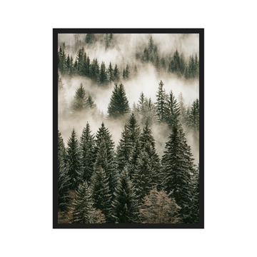 Nordic Forest II art print in a black frame – plakat na ścianę