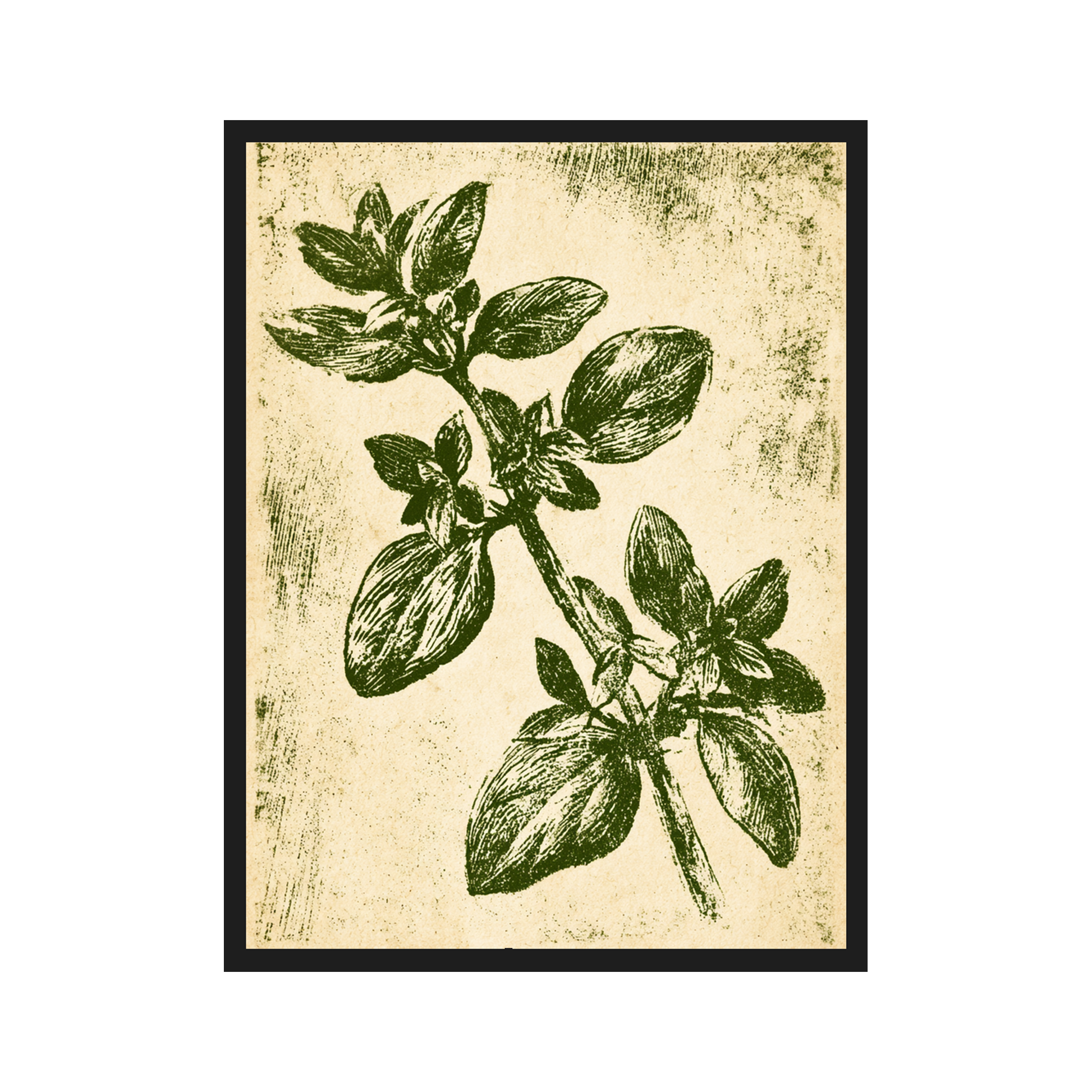 Herb Etchings II art print in a black frame