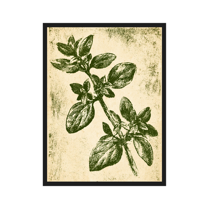 Herb Etchings II art print in a black frame