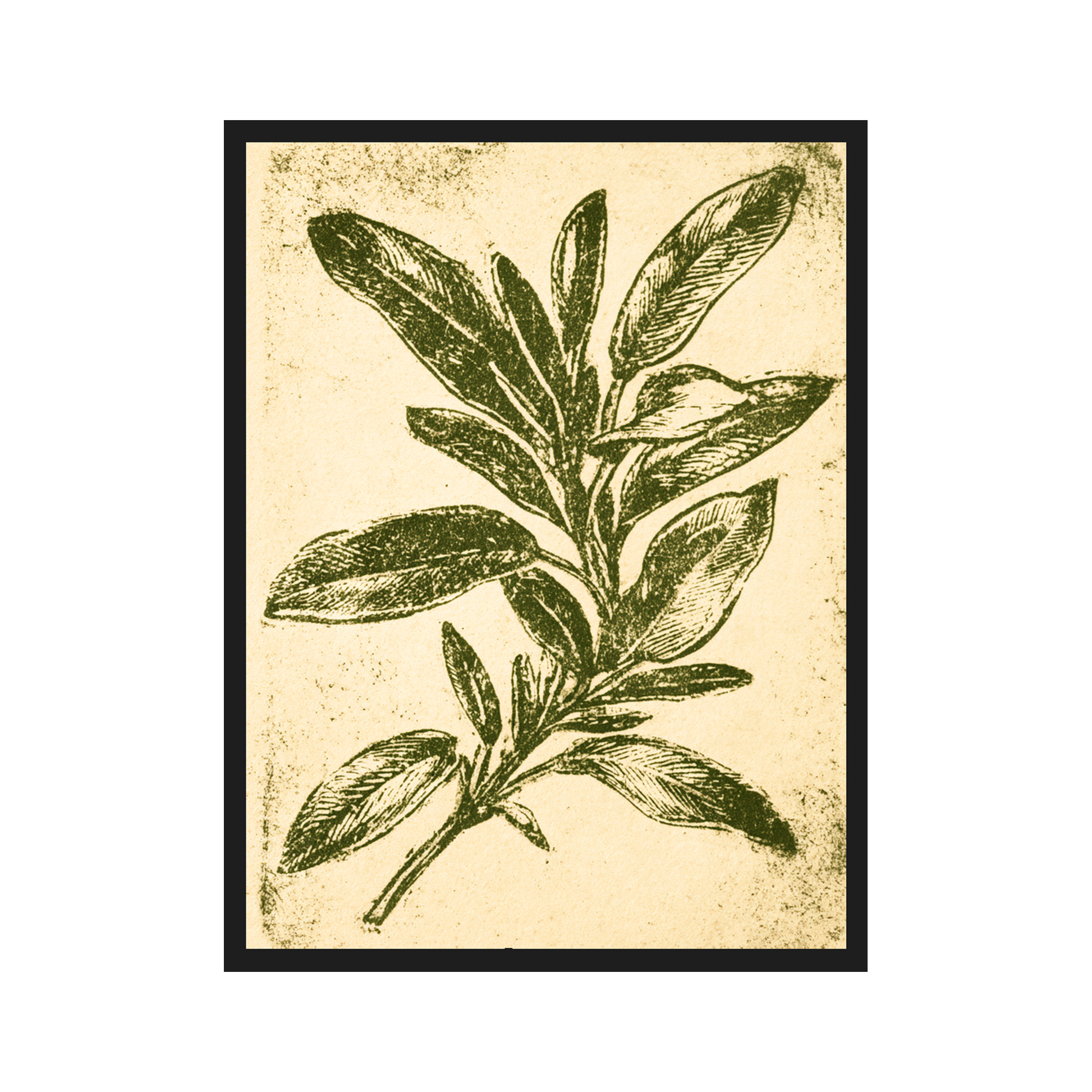 Herb Etchings III art print in a black frame