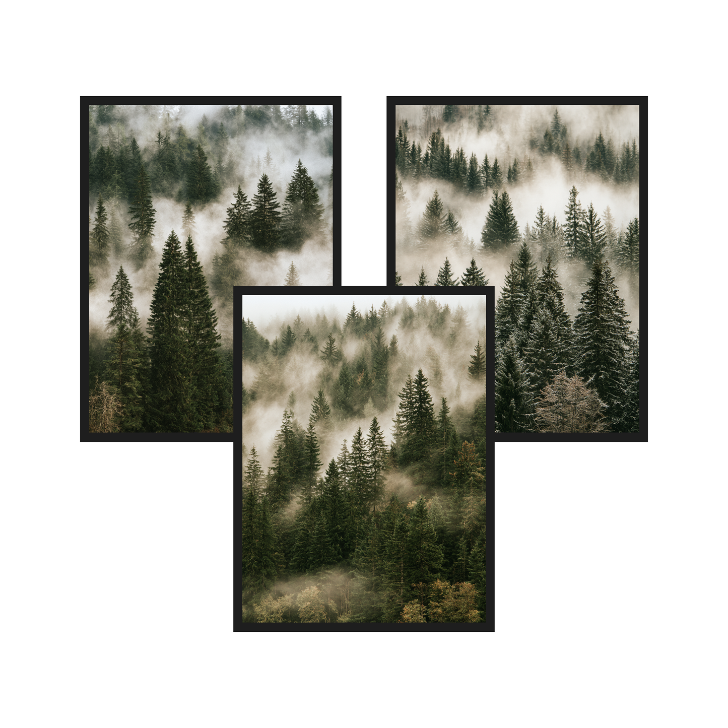 Nordic Forest set of 3 art prints in black frames – plakat na ścianę