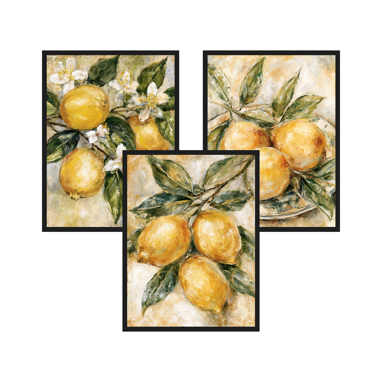 Lemon Branch set of 3 art prints in black frames – plakat na ścianę