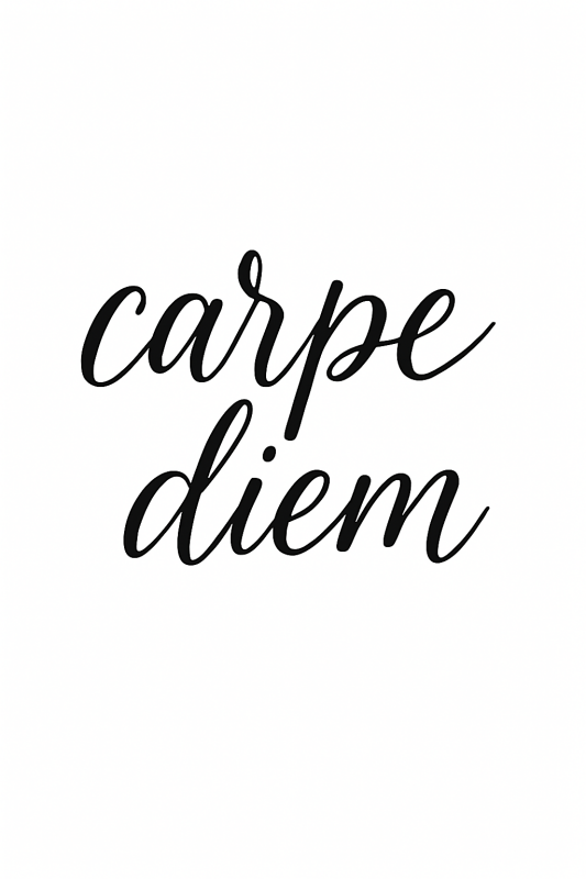 Sztuka Ścienna Carpe Diem - CasaNookDecor
